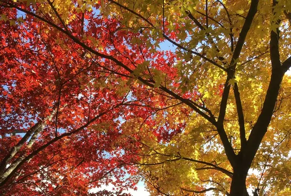 山寺の写真・動画_image_164885