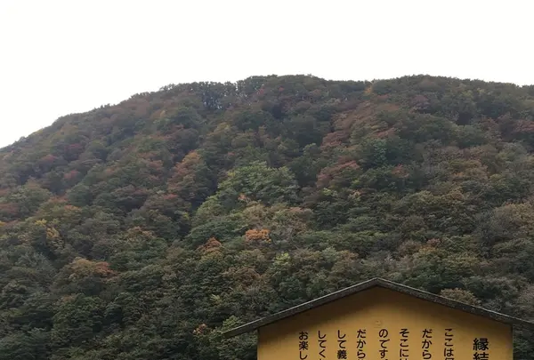 最上川舟下り義経ロマン観光の写真・動画_image_164902