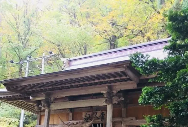 最上川舟下り義経ロマン観光の写真・動画_image_164913