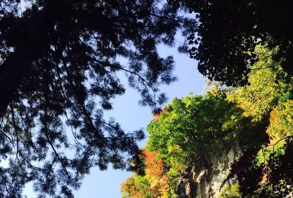 山寺の写真・動画_image_164950