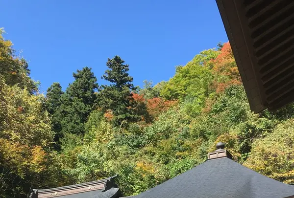 山寺の写真・動画_image_164952