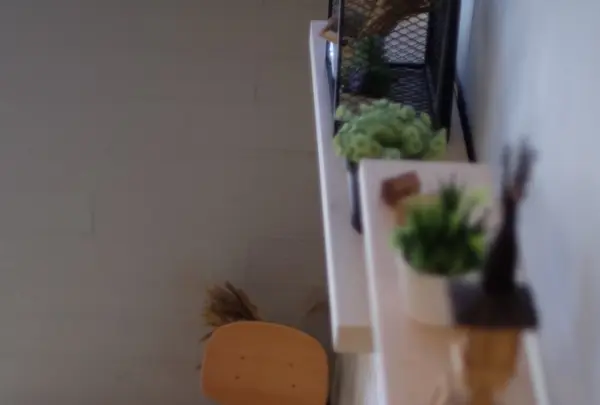 ROUND ABOUTの写真・動画_image_165031