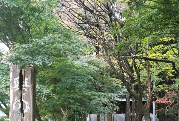 最上川舟下り義経ロマン観光の写真・動画_image_165038