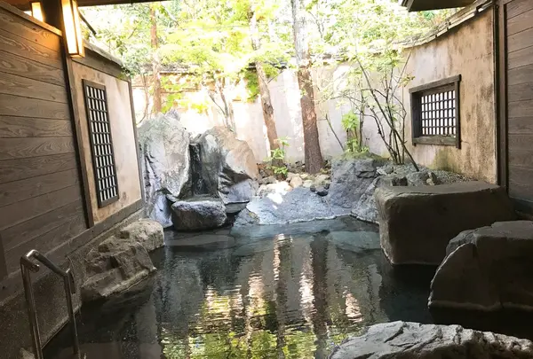 日の春旅館の写真・動画_image_165147