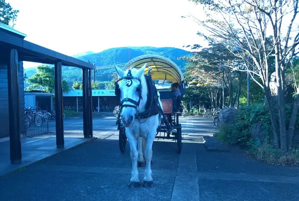由布院駅の写真・動画_image_165169