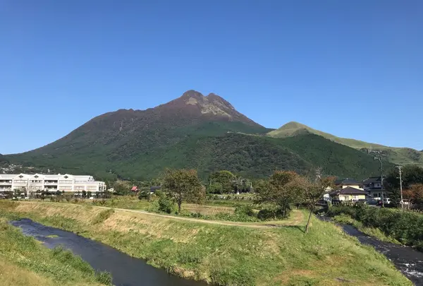 百合の写真・動画_image_165170