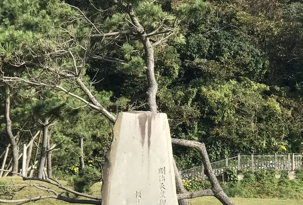 稲村ケ崎の写真・動画_image_165176