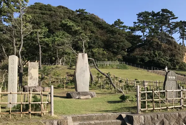 稲村ケ崎の写真・動画_image_165178
