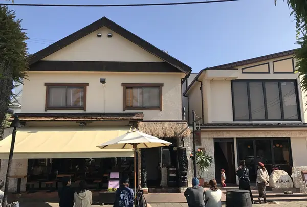 珊瑚礁 本店の写真・動画_image_165189