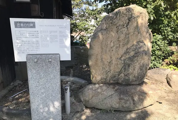 圓福寺の写真・動画_image_165212