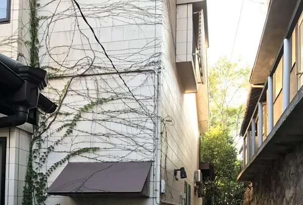 景観茶房鞆セレーノの写真・動画_image_165233