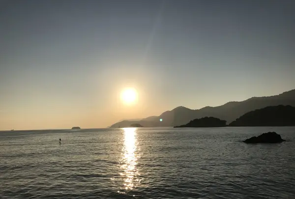 仙酔島の写真・動画_image_165296