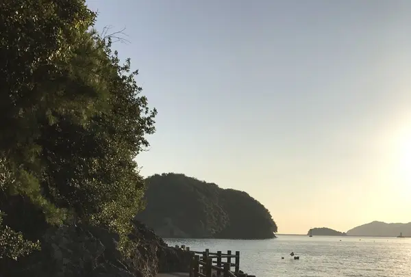 仙酔島の写真・動画_image_165297