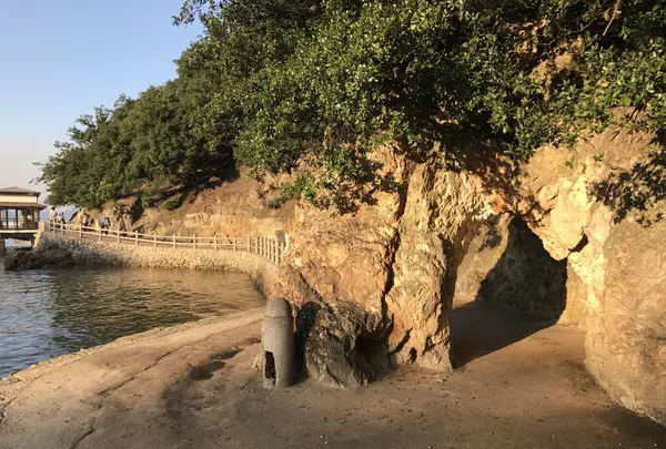 仙酔島の写真・動画_image_165300