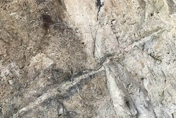 仙酔島の写真・動画_image_165302
