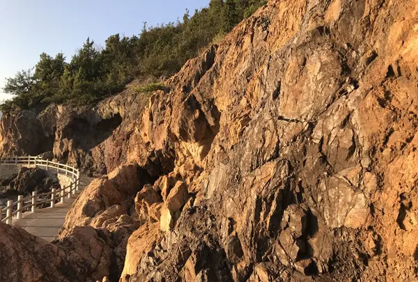仙酔島の写真・動画_image_165352
