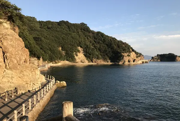 仙酔島の写真・動画_image_165359