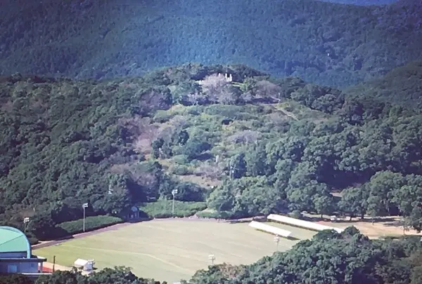 稲佐山の写真・動画_image_165499