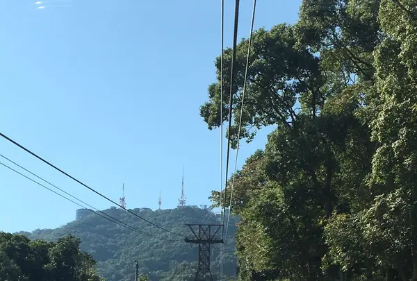 稲佐山の写真・動画_image_165508