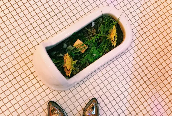 Day After Dayの写真・動画_image_165762