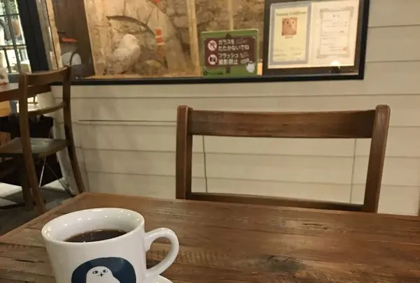 Shiny Owl（シャイニーアウル 富ヶ谷）の写真・動画_image_165826