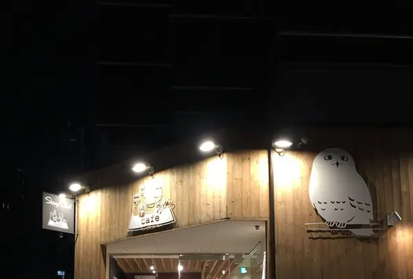 Shiny Owl（シャイニーアウル 富ヶ谷）の写真・動画_image_165827