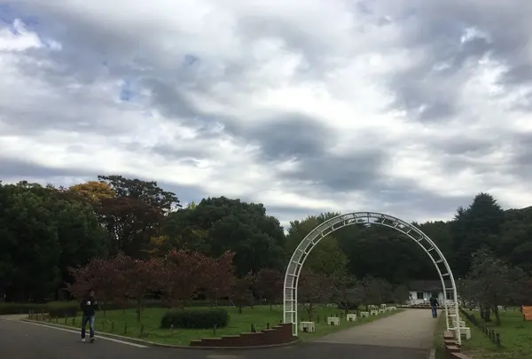 代々木公園の写真・動画_image_165885
