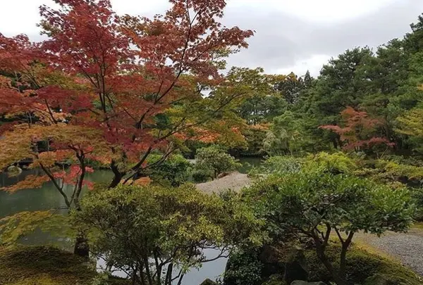清水園【紅葉の名所】の写真・動画_image_165964