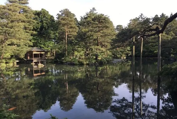 清水園【紅葉の名所】の写真・動画_image_165975