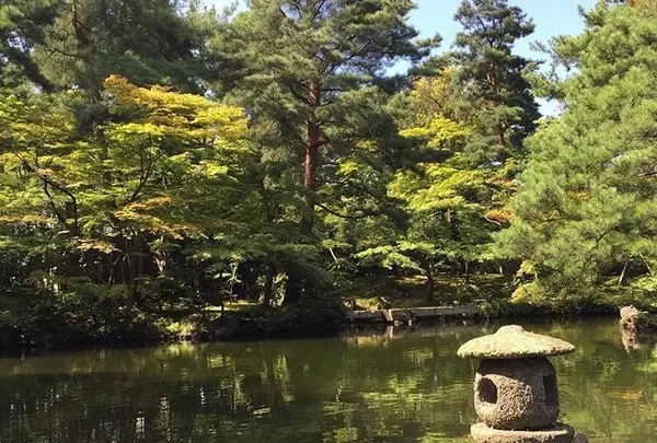 清水園【紅葉の名所】の写真・動画_image_165979