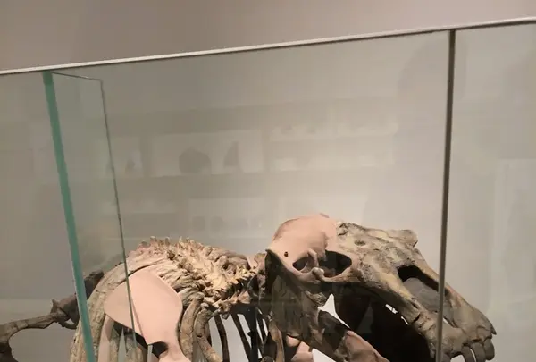 MieMu 三重県総合博物館の写真・動画_image_165981