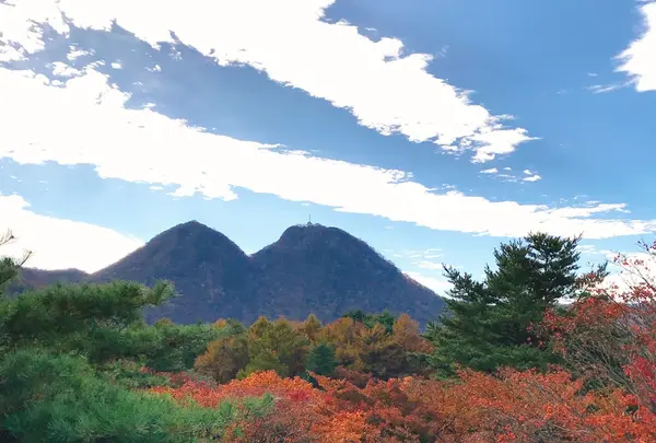 伊香保ロープウェイの写真・動画_image_166031