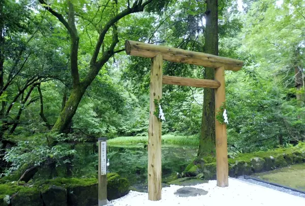 平泉寺白山神社の写真・動画_image_166209