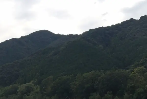 佐田沈下橋の写真・動画_image_166257