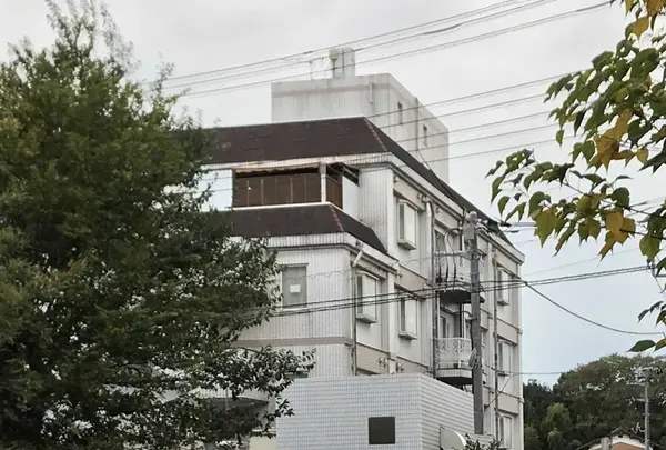 山中駐車場の写真・動画_image_166327