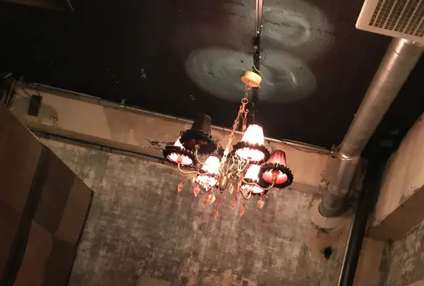 cafe&lounge ANALOG SHINJUKUの写真・動画_image_166410