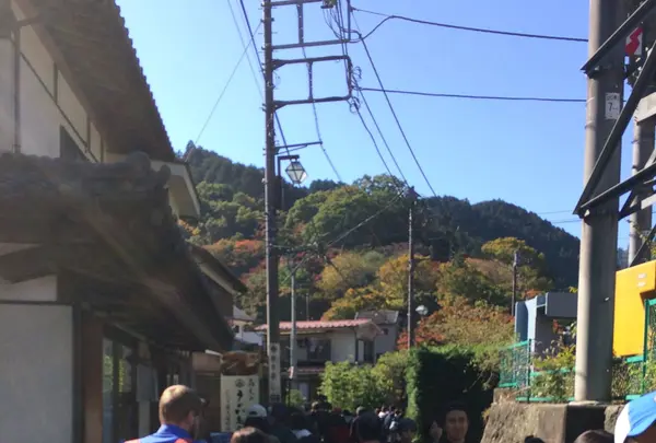 高尾山の写真・動画_image_166456