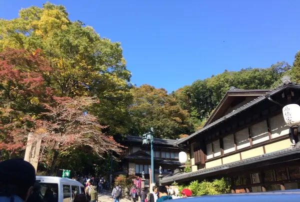 高尾山の写真・動画_image_166458