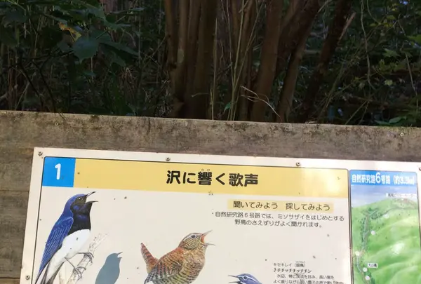 高尾山の写真・動画_image_166470