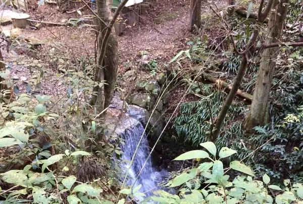 高尾山の写真・動画_image_166472