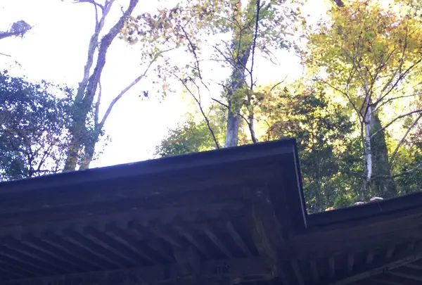 高尾山の写真・動画_image_166474