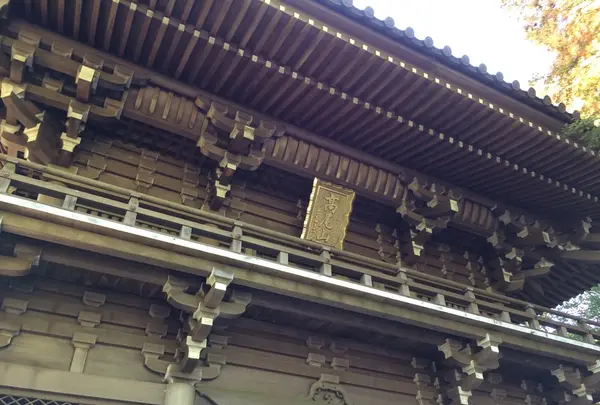 高尾山の写真・動画_image_166478