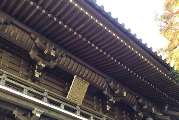 高尾山の写真・動画_image_166479