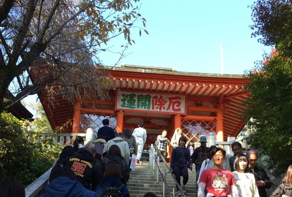 高尾山の写真・動画_image_166488