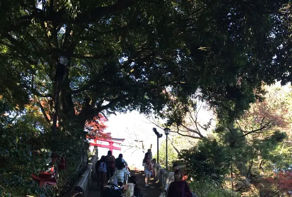 高尾山の写真・動画_image_166492