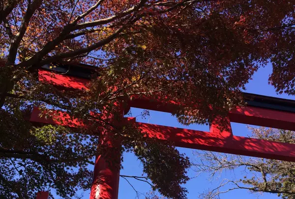 高尾山の写真・動画_image_166493