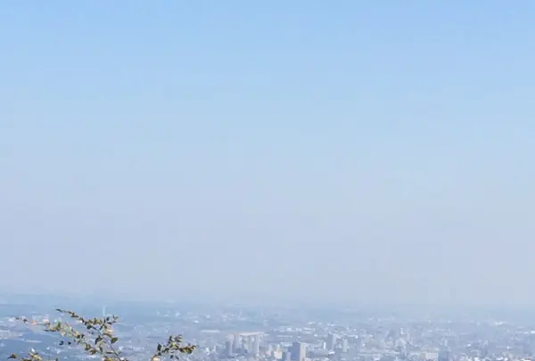 高尾山の写真・動画_image_166508