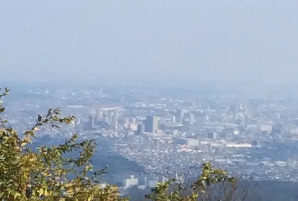 高尾山の写真・動画_image_166509