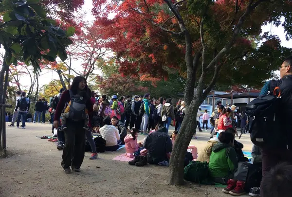 高尾山の写真・動画_image_166514