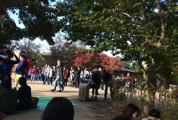 高尾山の写真・動画_image_166515